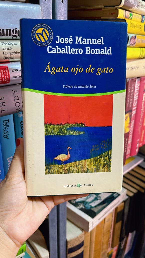 Ágata ojo de gato