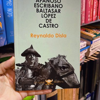 Turista en mi país